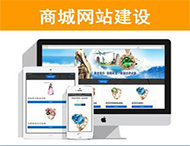 商城網(wǎng)站建設有哪些功能？