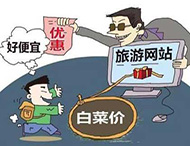 農村旅游網(wǎng)站建設及用戶(hù)體驗度的提高？